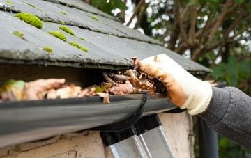 gutter cleaning Glespin, South Lanarkshire