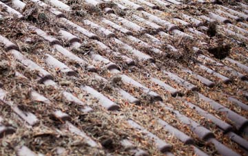 Glespin roof cleaning companies