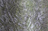 Glespin fibreglass roof work