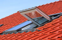 Glespin roof window